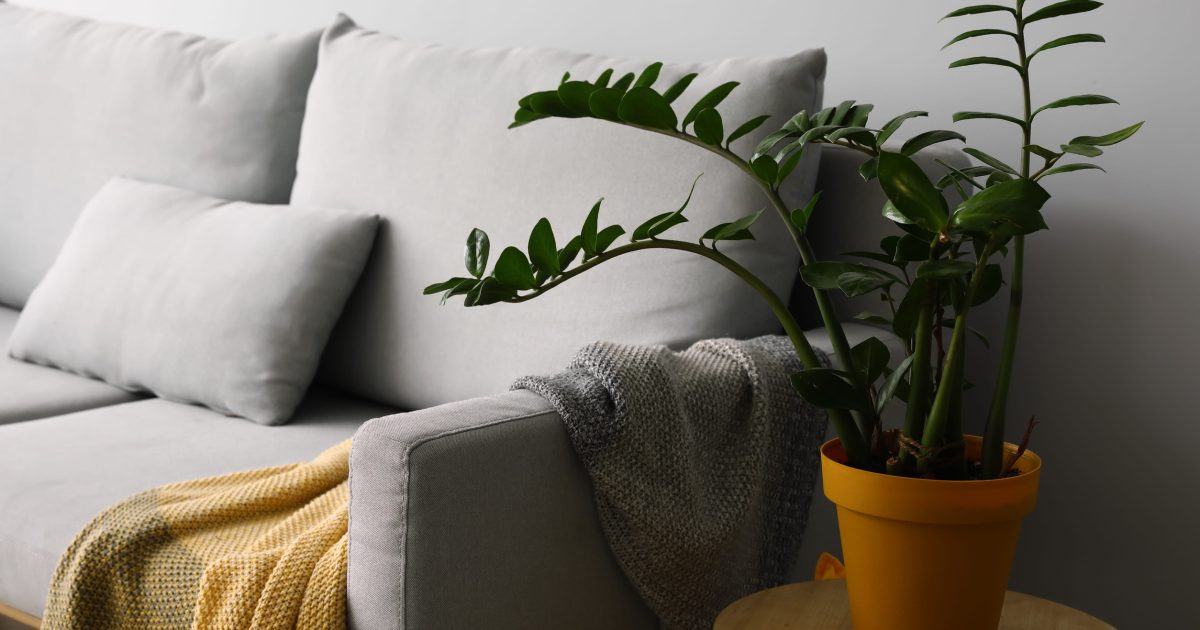 9 Small Touches That Make a Home Feel Instantly Welcoming to Guests