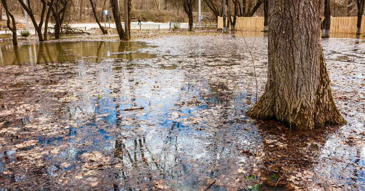This Nutley Park Turned Into a Lake After One Brutal Storm