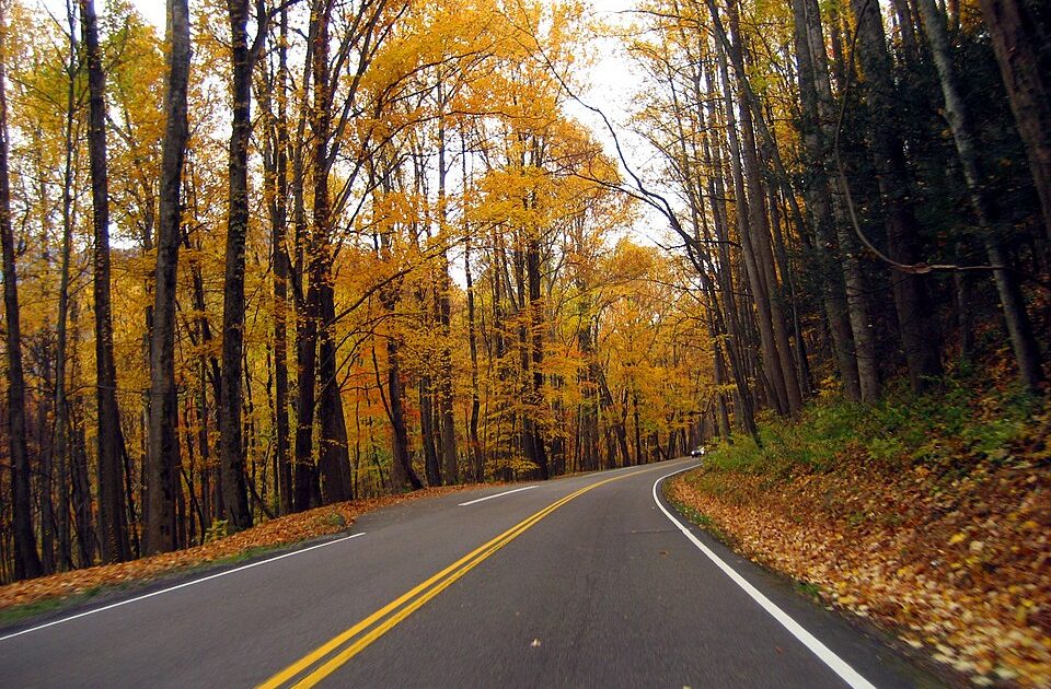 U.S. Residents Can Still Visit National Parks Free on Two More Days This Fall
