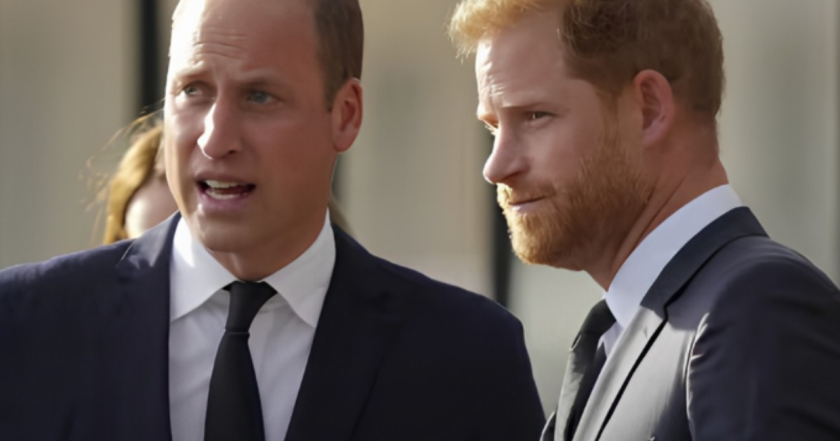 Charles Spencer Finally Answers Whether He Is Team William or Team Harry, and His Answer Is Both