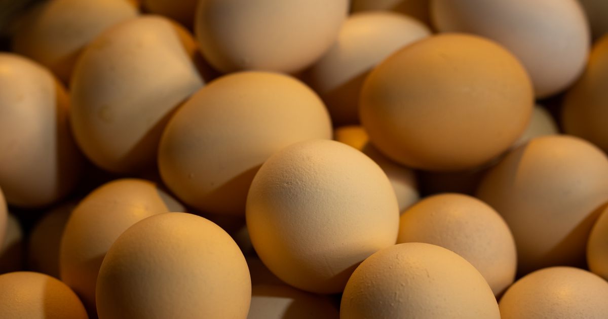 Eggs are having a comeback, but the real story is more complicated.
