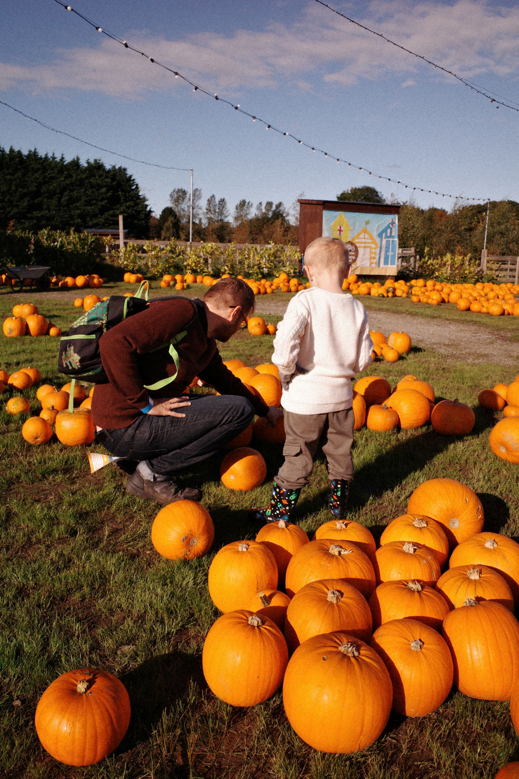 A father and son explore a pumpkin patch on a sunny autumn day.