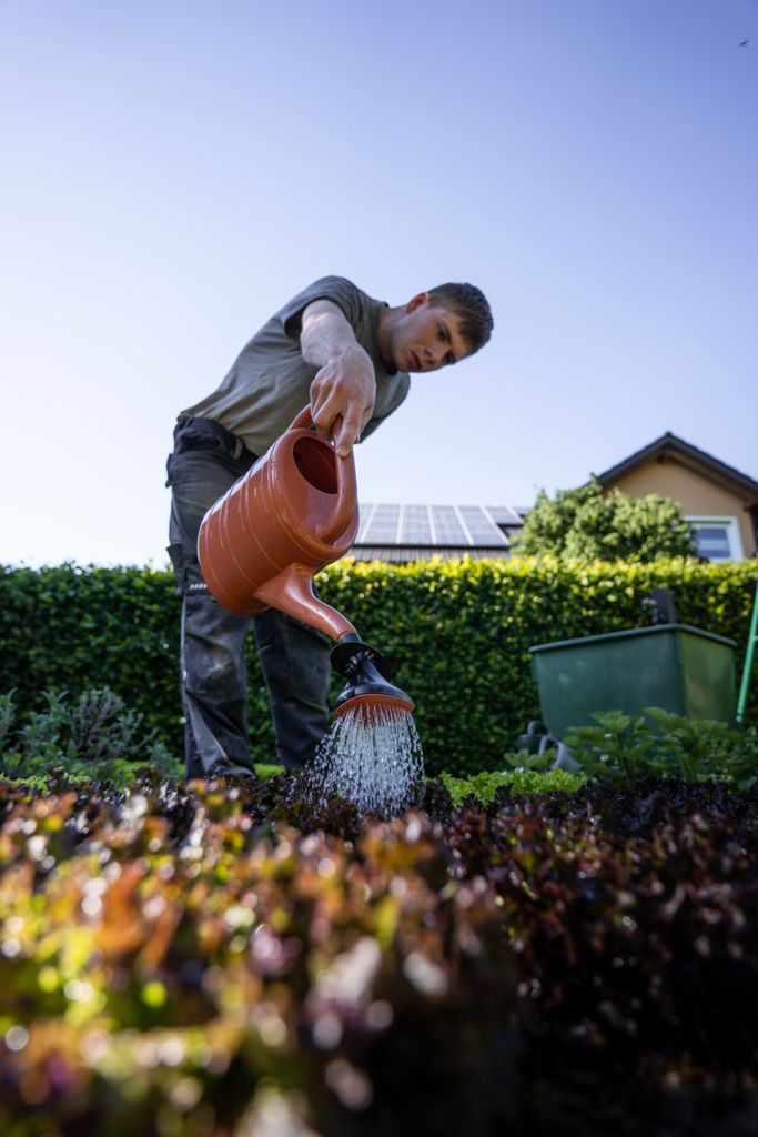 A gardener uses a watering can to nourish plants in a lush garden under clear skies.