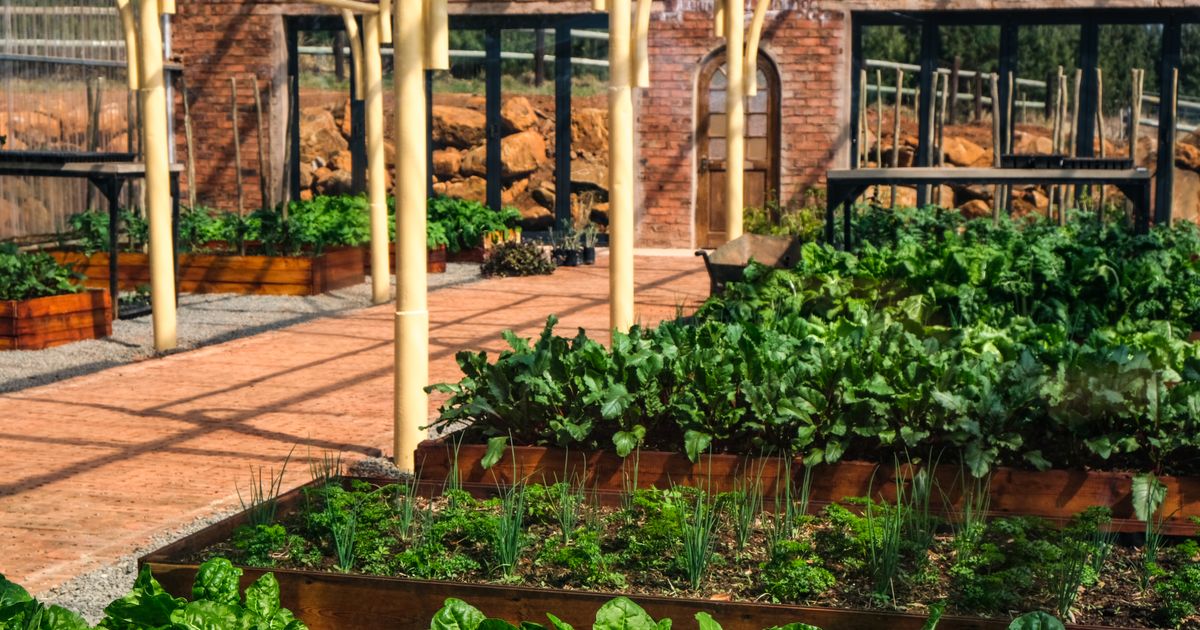 6 Raised Garden Bed Ideas for Growing More Veggies and Flowers in Small Spaces
