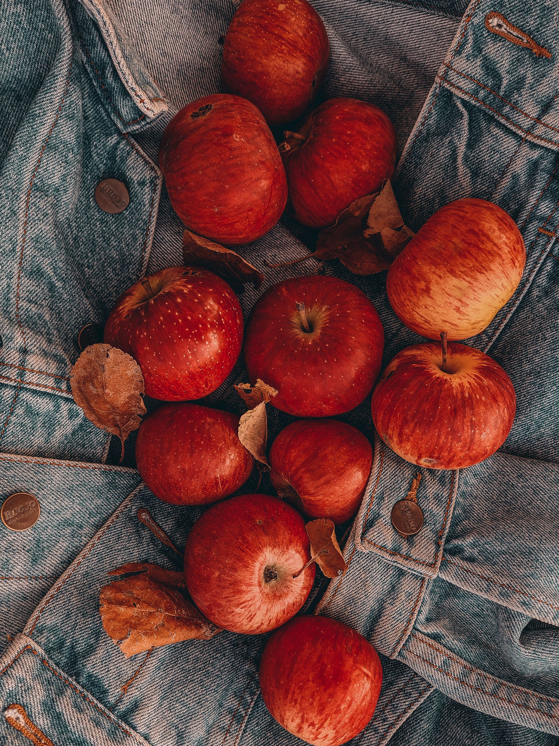 Aesthetic arrangement of red apples on a denim jacket adorned with dried leaves, showcasing a rustic and autumnal feel.