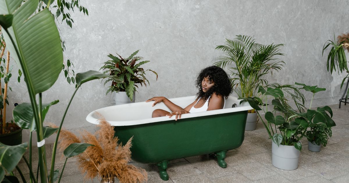 Shop 10 Beautiful Bathroom Plants to Create a Spa-Like Retreat in Your Own Home