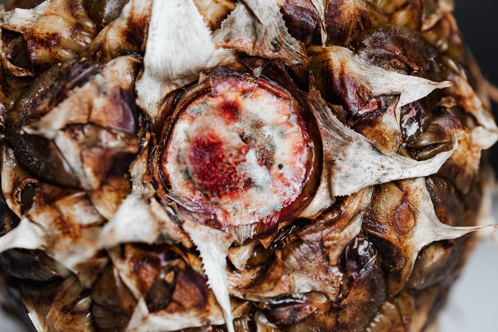 Closeup of texture of whole ripe fresh pineapple with brown peel placed on white surface