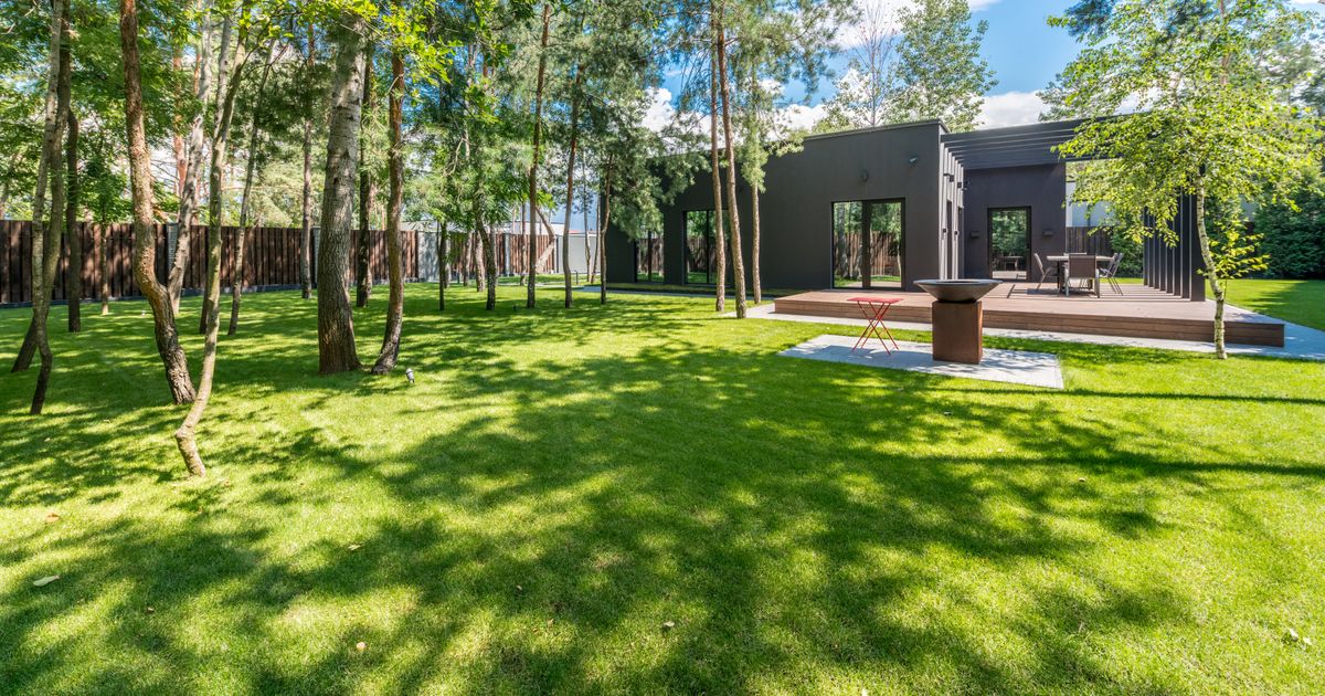 8 Backyard Trends Homeowners Can’t Get Enough of in 2026 