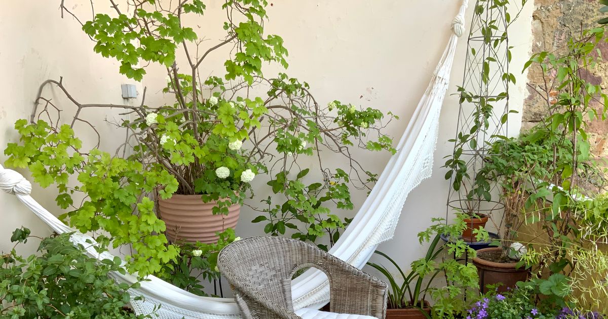 Gardeners Are Turning Their Outdoor Spaces Into Places to Actually Spend Time