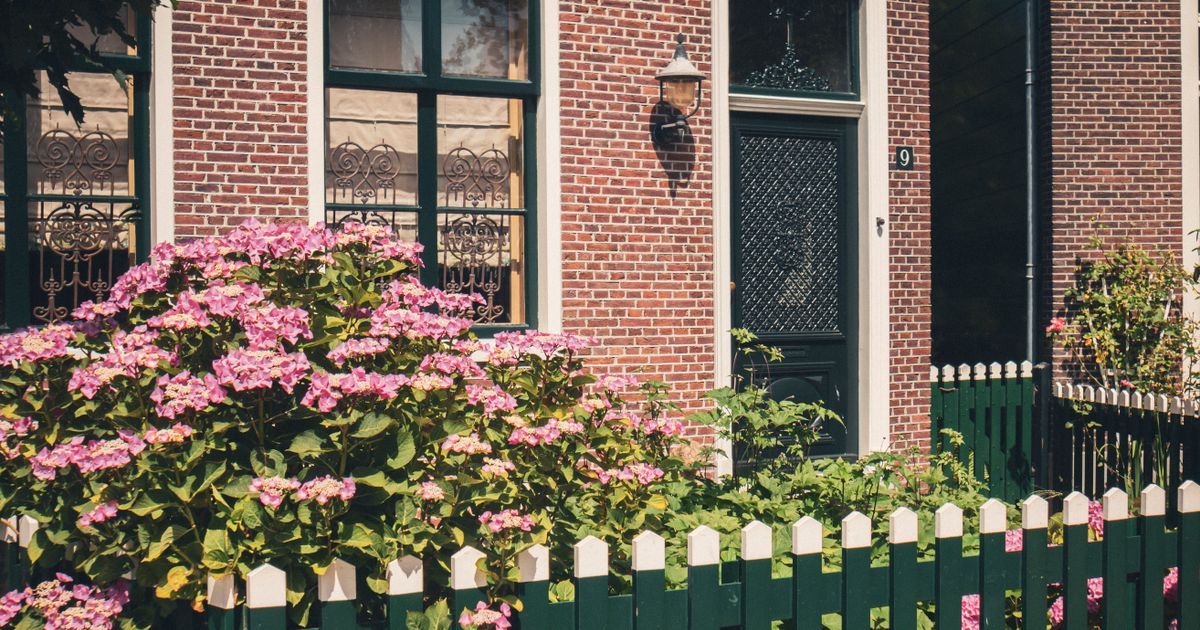 5 Spring Flower Combos That Make Your Front Door Look More Expensive