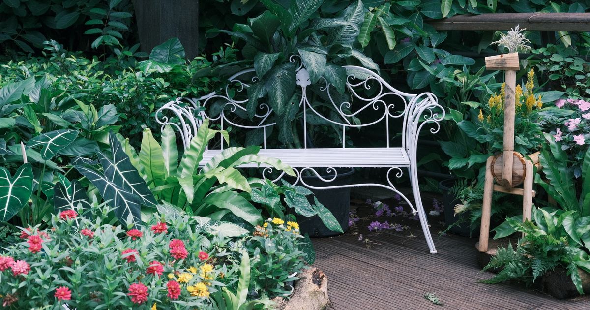 7 Tips for Creating a Sensory Garden