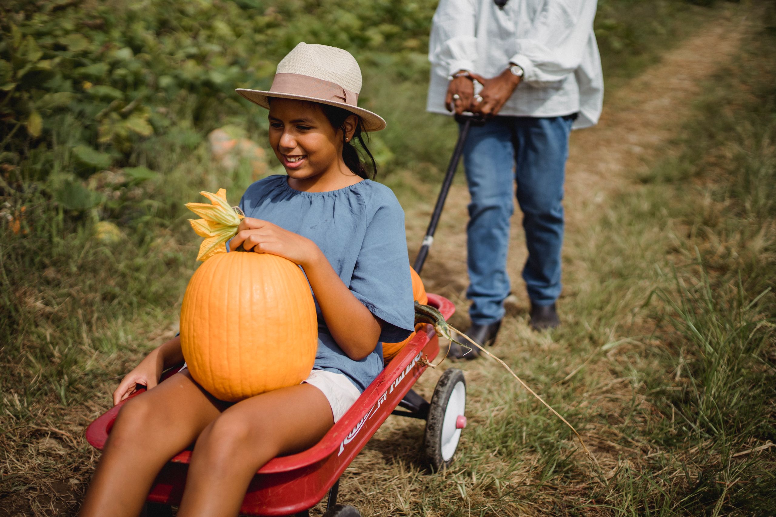 Happy young Hispanic girl smiling while holding fresh pumpkin and sitting in cart
