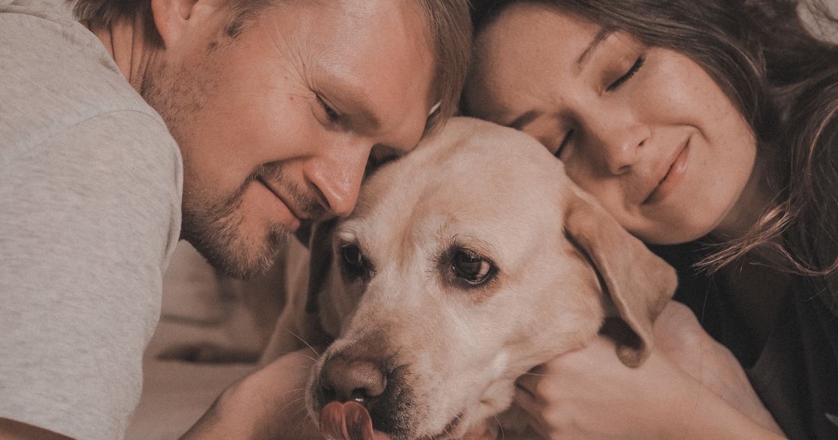 Would You Date Someone Whose Animal You Can’t Stand?