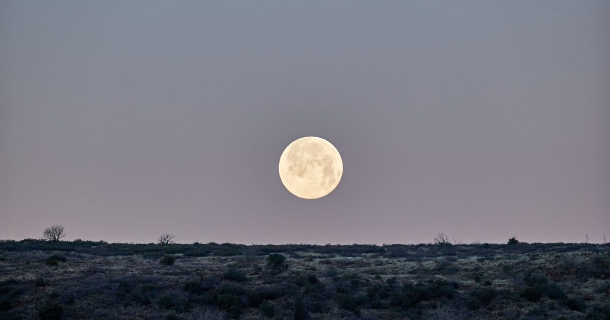 Why the Moon Looks Enormous Near the Horizon — Scientists Still Debate It