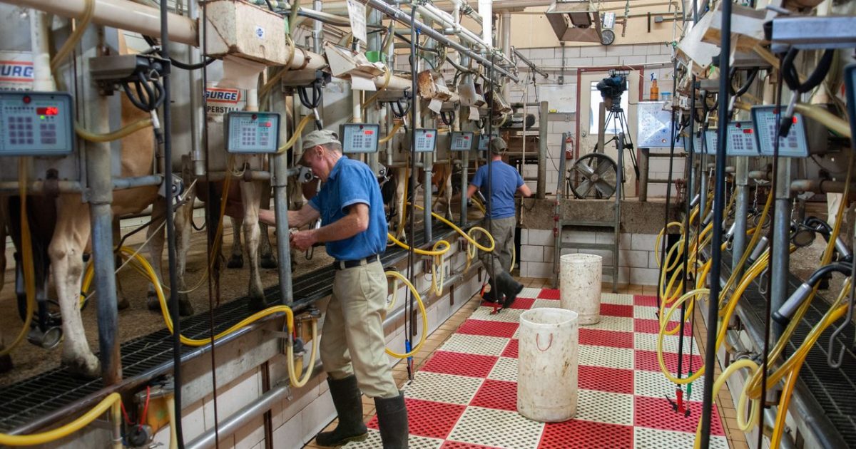 USDA’s ESG Funding Rollback Could Affect Over 20,000 Dairy Farms