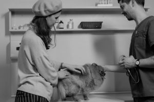 pet-owner-looking-at-her-dog-while-standing-near-the-veterinarian-holding-stethoscope-