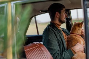 man-and-dog-inside-a-car