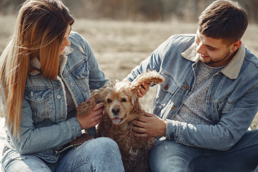 Positive young couple in casual warm jackets and jeans sitting on ground and stroking charming Cocker Spaniel dog while spending time in countryside
