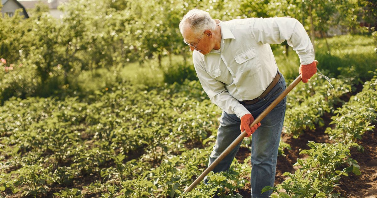 What Experienced Gardeners Are Quietly Doing in September to Set Up a Better Spring 