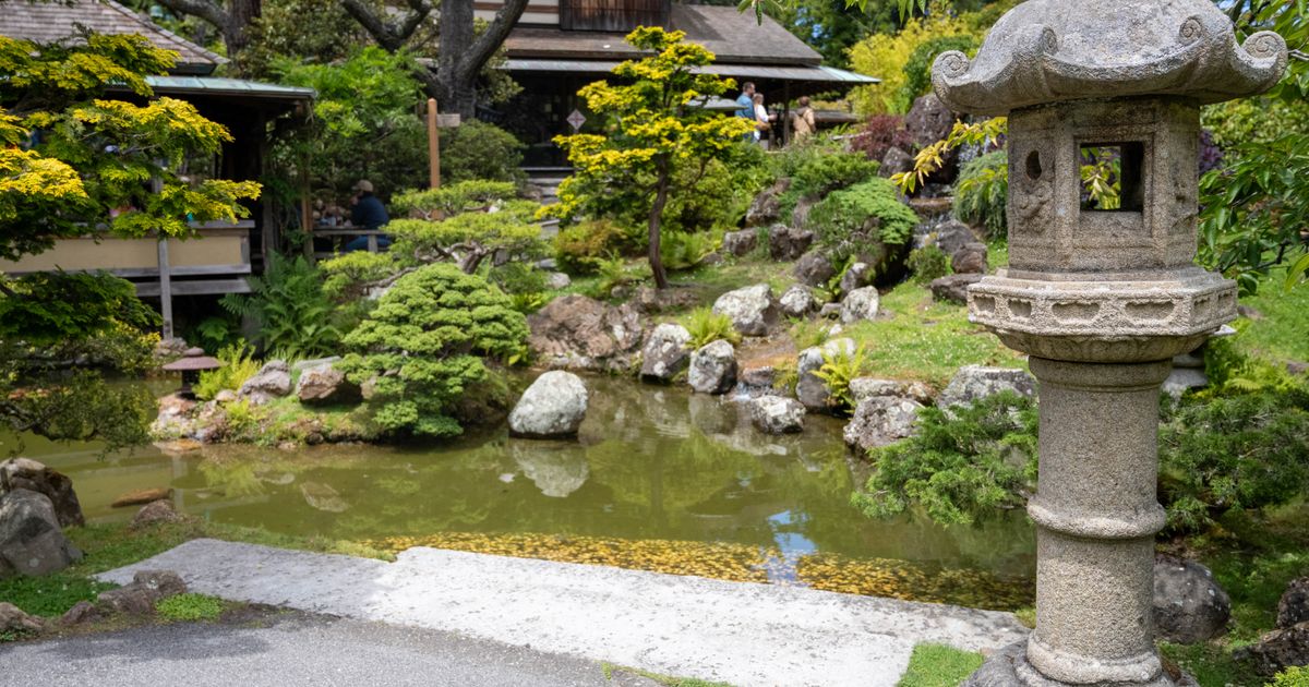The September Garden Mistakes That Can Make Your Spring Garden Harder 