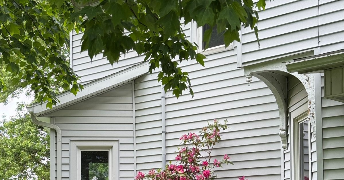 Five Serviceberry Trees for Small Yards That Bring Flowers, Berries, and Fall Color