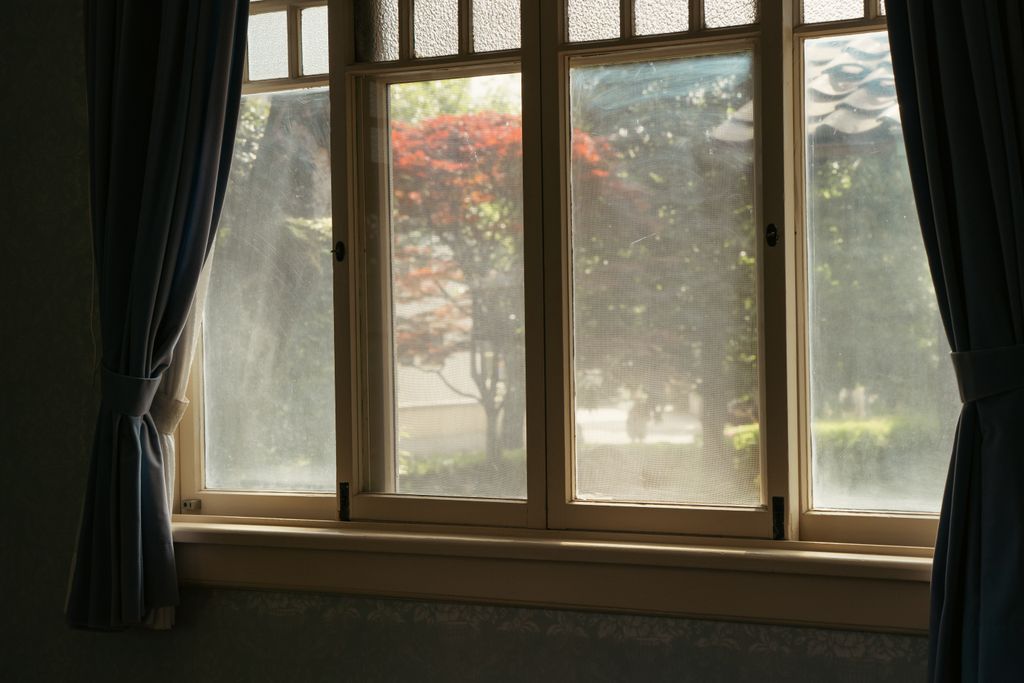 Calm interior view of a garden through a sunlit window in Tokyo home.