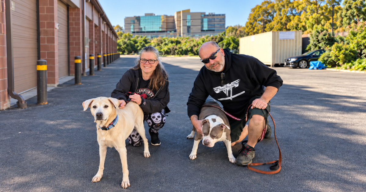 Senior Dog Surrendered for Euthanasia Finds a Loving Home After Shelter Gives Her Another Chance