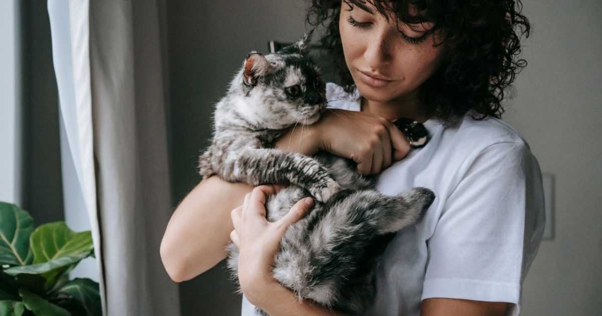 How Old Is Your Cat in Human Years? The Real Formula Vets Use