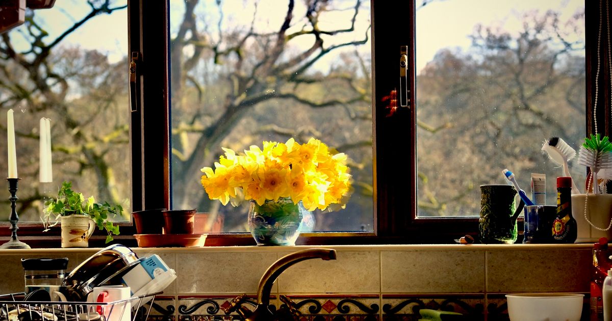Clever Kitchenware 7 Clever Ways to Merge Your Kitchen and Garden Into One High-Yield ...