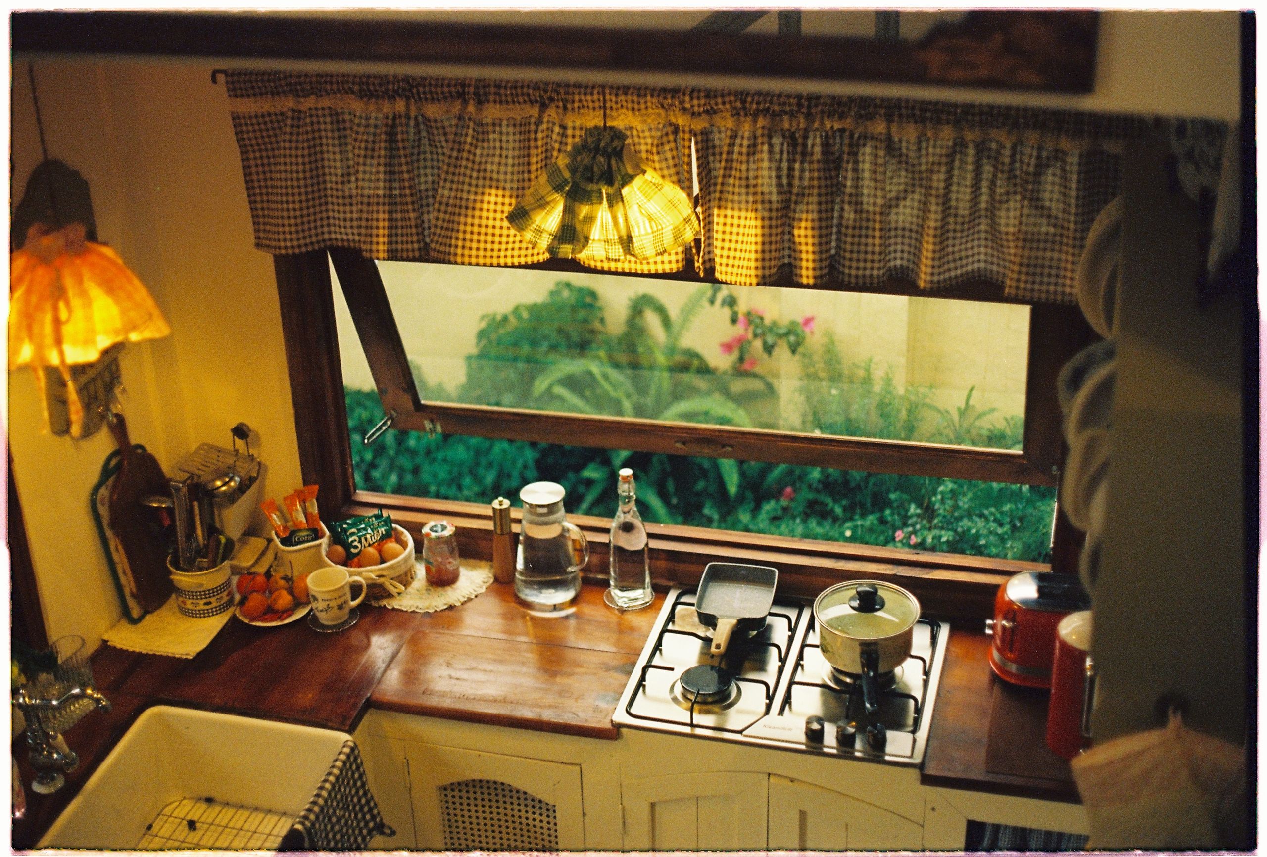 Kitchen View Into 7 Clever Ways to Merge Your Kitchen and Garden Into One High-Yield ...